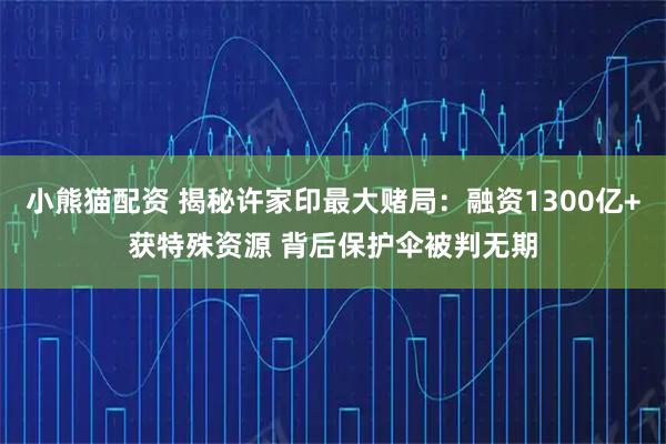 小熊猫配资 揭秘许家印最大赌局：融资1300亿+获特殊资源 背后保护伞被判无期